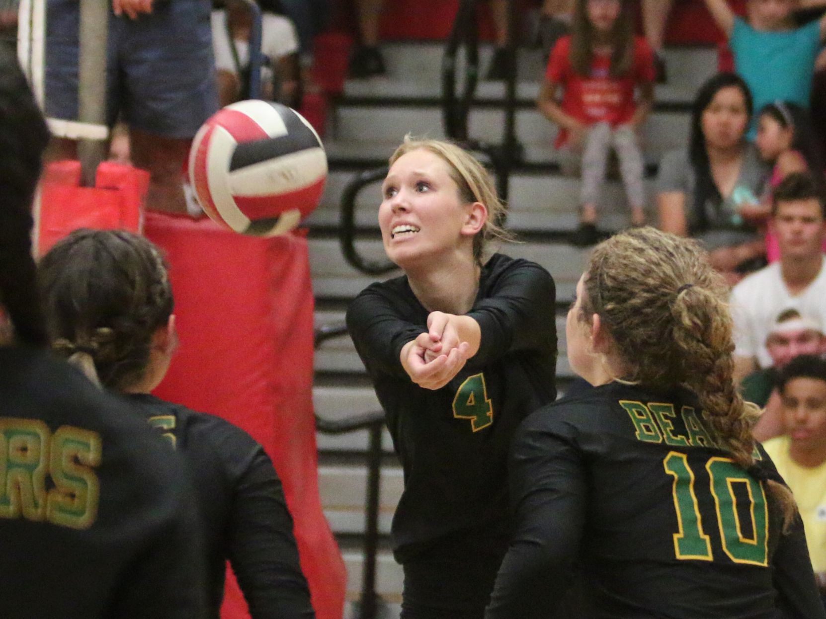 Golden Bears open season with victory over Bullpups